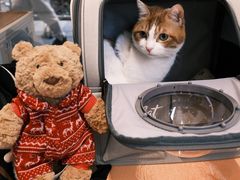 -Dough&Joe团憩(瑞虹天地月亮湾店)