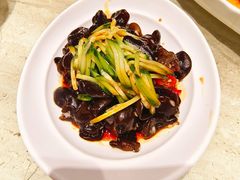 -佬肥猫(七宝宝龙店)