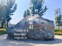 -野鸭湖国家湿地公园