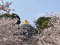 -苏州上方山国家森林公园