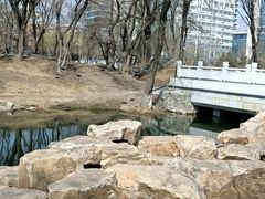 -万泉公园