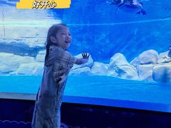 -常州海昌海洋探索馆