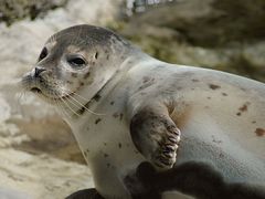 -多彩贵州城极地海洋世界