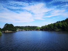 -庐山风景区花径公园