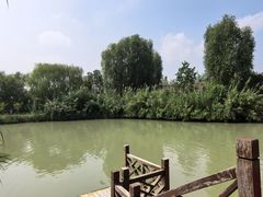 -泗洪洪泽湖湿地景区