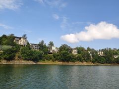 -千岛湖东南湖区