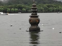 -西湖外事游船(花港观鱼码头)