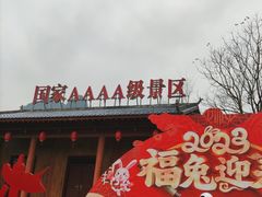 -靖西鹅泉风景区
