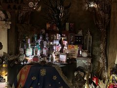 -雪灵魔法世界SHELLY’S TAROT(大良桂畔里店)