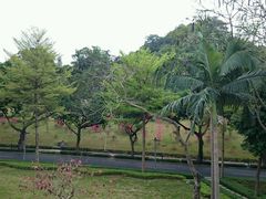 android_upload_pic-深圳麒麟山庄