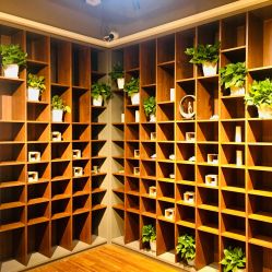 -FineYoga梵音瑜伽·普拉提