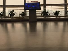 -339旋转餐厅(天府熊猫塔店)