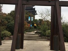 -杭州半山国家森林公园