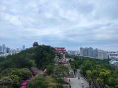 -黄鹤楼公园(黄鹤楼)