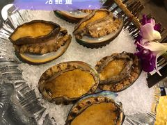 鲍鱼鸡锅-金龙·打边炉(南京西路店)