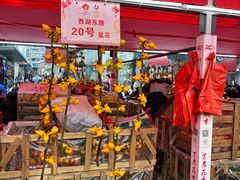 -越秀西湖花市(广州城市广场花卉店)
