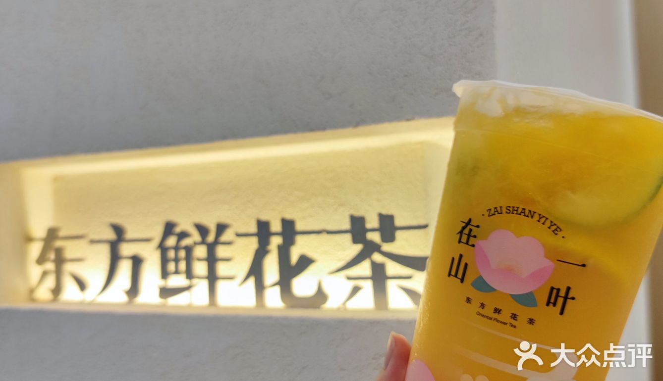山茶花系列，在山⛰️一叶·东方鲜花茶🍵饮与昆明的故事