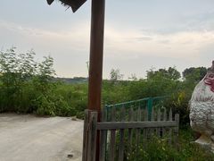-海上田园