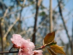 -皇藏峪国家森林公园