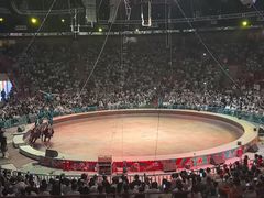 -俄罗斯国家大马戏团