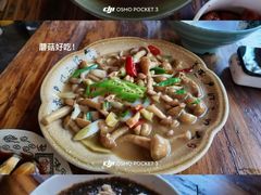 -张醪糟