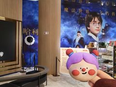 -SFC上影影城(港汇永华IMAX激光店)