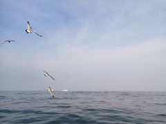 -拓恩帆船俱乐部