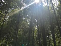 -陶祖圣境风景区