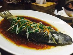 -頂好酒家·经典粤菜(海信广场店)