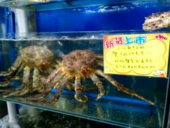 -蚝专家(北滘店)