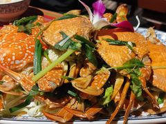 -卷心菜和避孕套餐厅(Pattaya)