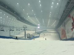 -哈尔滨热雪奇迹