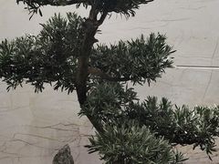 -纯K(西湖店)