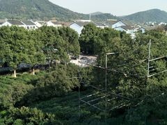 -树山生态村