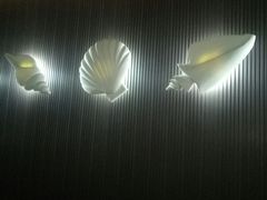-青岛贝壳博物馆