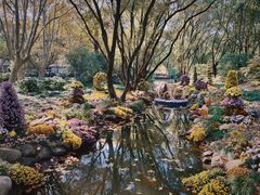 -上海共青森林公园