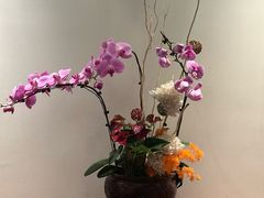 -芙蓉堂(武汉天地店)