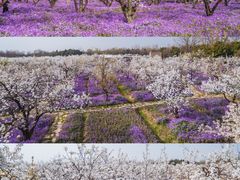 -江苏三台山国家森林公园