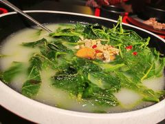 -羽鸽集·乳鸽专门店·地道顺德菜(岭南站店)