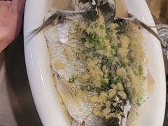 姜茸蒸泉水鲩-勝記酒家·37年老字号·经典粤菜(荔枝公园店)