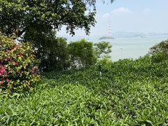 -八卦楼风琴博物馆