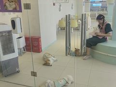 -怪兽屋·羊驼·猫咖·狗咖(俊华广场店)