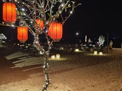 -海南清水湾莱佛士酒店