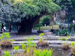 -成都市活水公园