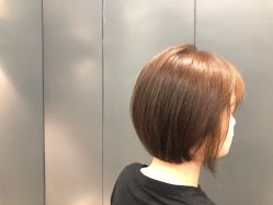 -藤野造型