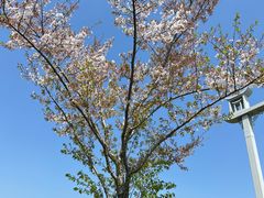 -梁鸿国家湿地公园