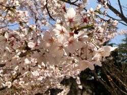 -Union瑜伽健康管理中心