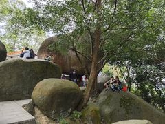 -火炉山森林公园