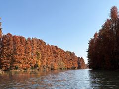 -上海海湾国家森林公园