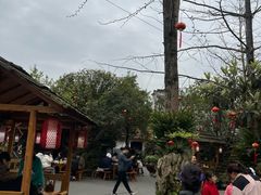 -青城甲(青城山店)